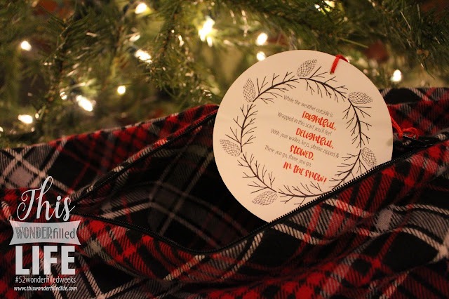 Thanks, it has a POCKET! | Week 49